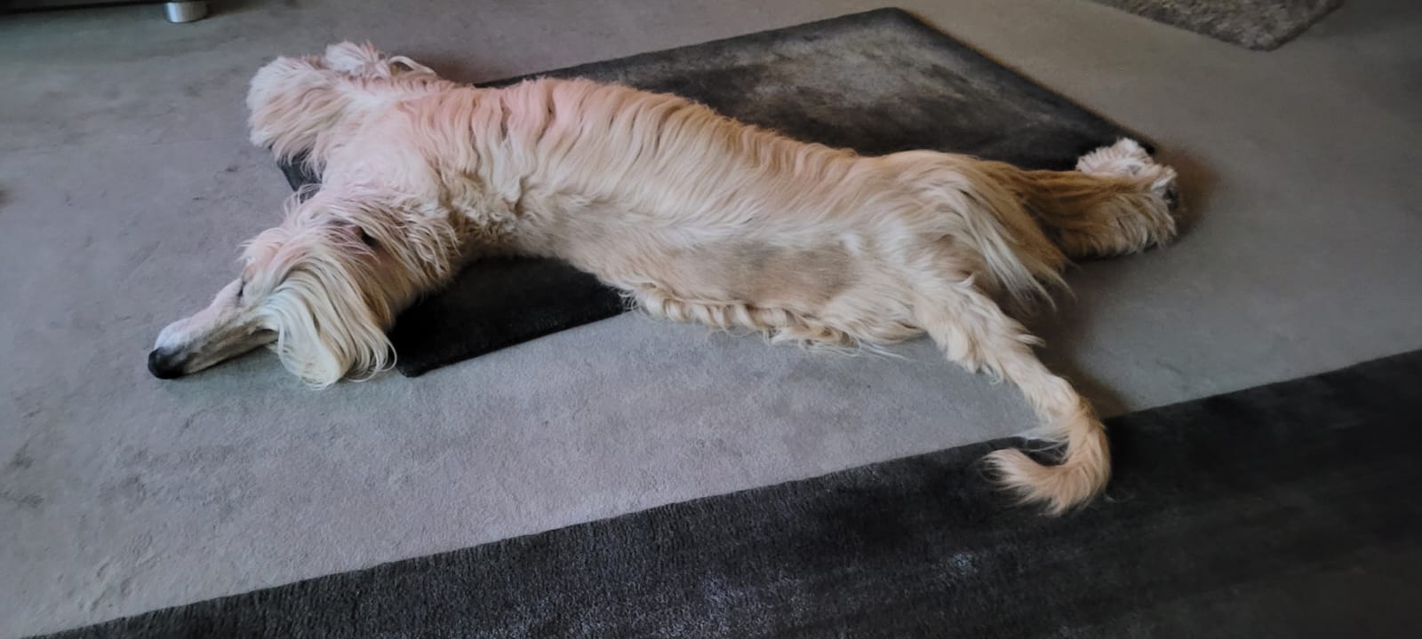 Happy Birthday Tommy!